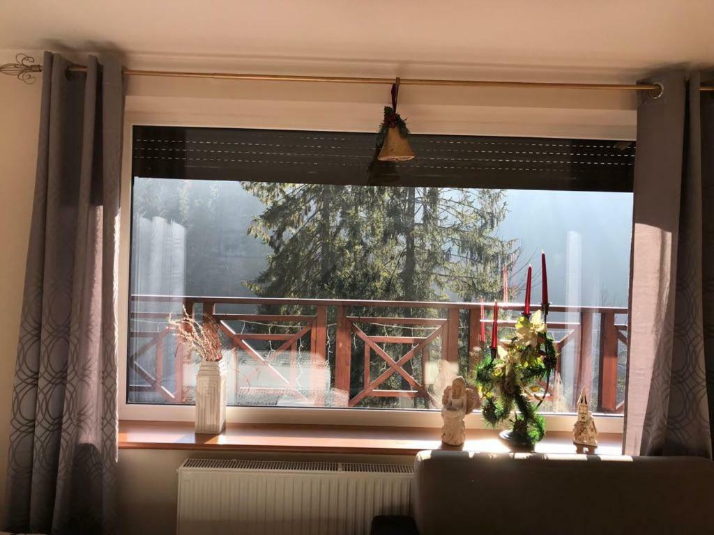 Hotel Lesny Dwor Weichsel Exterior foto