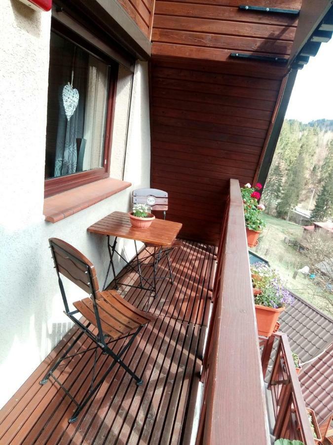 Hotel Lesny Dwor Weichsel Exterior foto